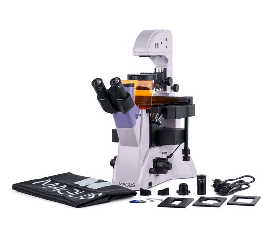 Микроскоп люминесцентный инвертированный MAGUS Lum V500L, фото 