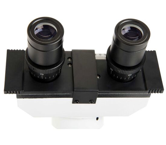 Микроскоп Celestron LABS CB2000C, тринокулярный, фото , изображение 8