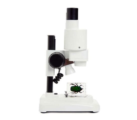 Микроскоп стереоскопический Celestron LABS S20, бинокулярный, фото , изображение 2