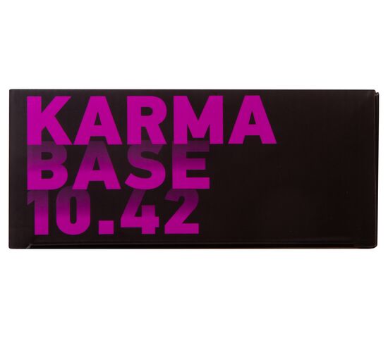 Бинокль Levenhuk Karma BASE 10x42, фото , изображение 17