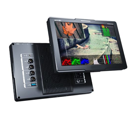 Видеомонитор AVMATRIX BSM101-12G, фото 