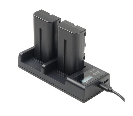 Зарядное устройство GreenBean DualCharger NPF-C, фото , изображение 2