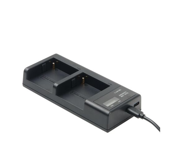 Зарядное устройство GreenBean DualCharger NPF-C, фото 
