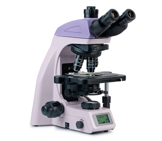 Микроскоп биологический MAGUS Bio 260T, фото 