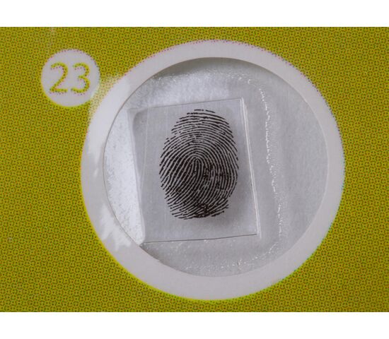 Набор микропрепаратов Levenhuk LabZZ P12, растения, фото , изображение 7