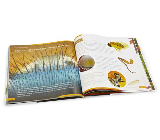 Книга знаний «Невидимый мир», фото , изображение 4