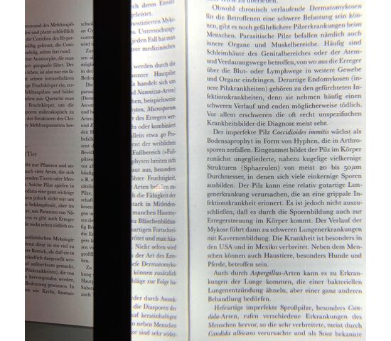 Линза Френеля Veber AM2.5 столик, фото , изображение 5
