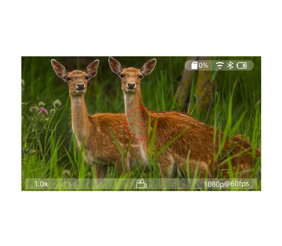 Прицел цифровой Veber DigitalHunt R44X6-48 LRF ночной, фото , изображение 9