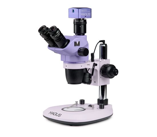 Микроскоп стереоскопический цифровой MAGUS Stereo D8T BASE, фото 