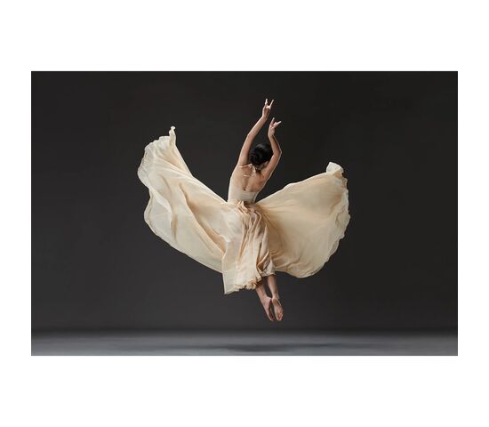Вспышка аккумуляторная Godox Witstro AD600ProII, фото , изображение 10