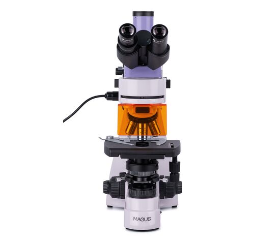 Микроскоп люминесцентный MAGUS Lum 400, фото , изображение 4