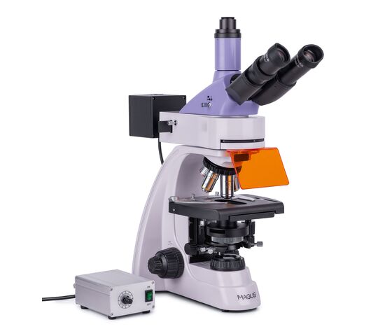 Микроскоп люминесцентный MAGUS Lum 400L, фото , изображение 2