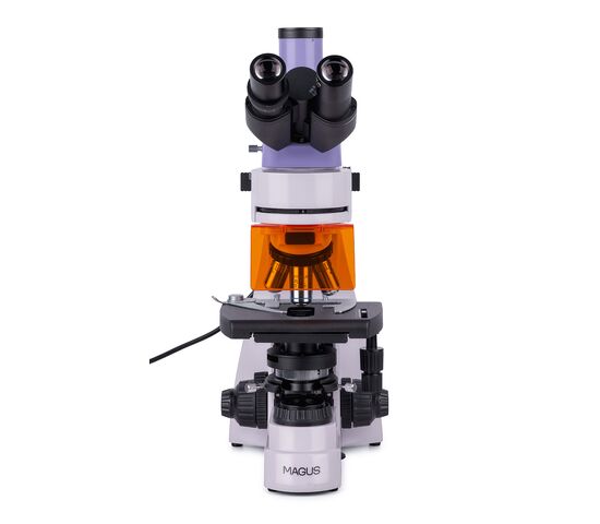Микроскоп люминесцентный MAGUS Lum 400L, фото , изображение 4