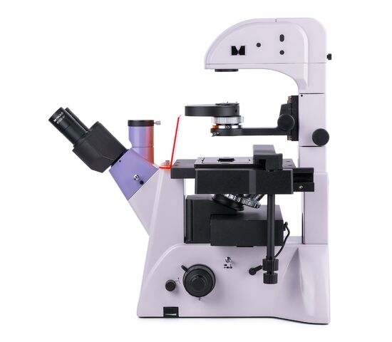 Микроскоп люминесцентный инвертированный MAGUS Lum V500L, фото , изображение 7