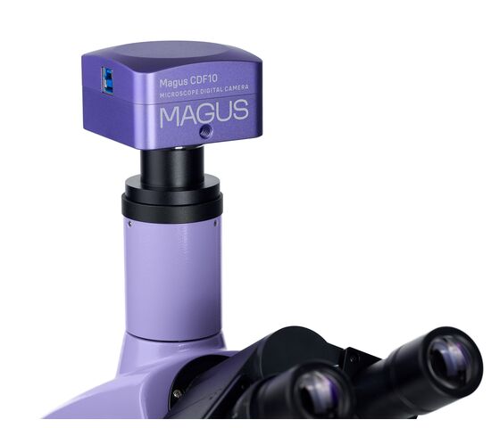 Микроскоп биологический цифровой MAGUS Bio D230T, фото , изображение 22