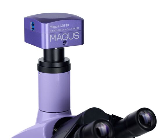 Микроскоп биологический цифровой MAGUS Bio D230TL, фото , изображение 21