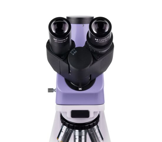 Микроскоп биологический цифровой MAGUS Bio D250T, фото , изображение 11