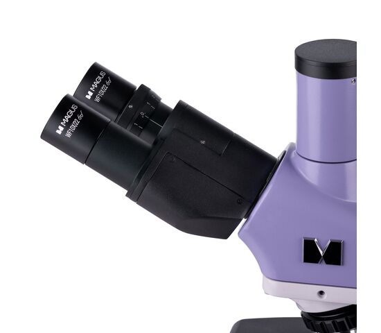 Микроскоп биологический цифровой MAGUS Bio D250T, фото , изображение 12