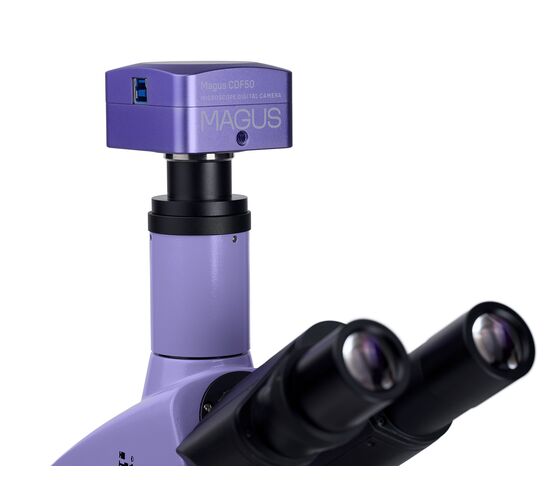 Микроскоп биологический цифровой MAGUS Bio D250T, фото , изображение 25