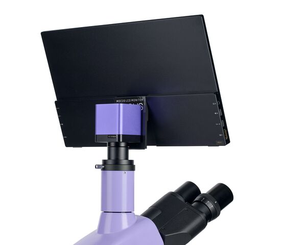 Микроскоп биологический цифровой MAGUS Bio D250T LCD, фото , изображение 23