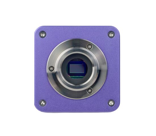 Микроскоп биологический цифровой MAGUS Bio D250TL, фото , изображение 23