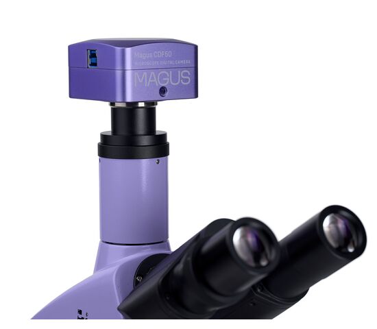 Микроскоп биологический цифровой MAGUS Bio D250TL, фото , изображение 24