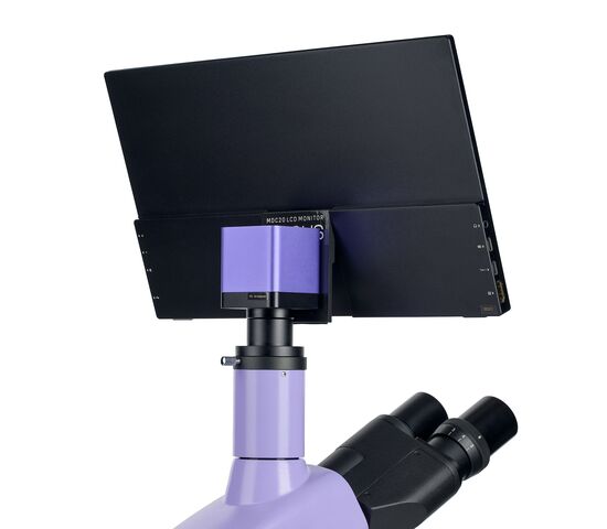 Микроскоп биологический цифровой MAGUS Bio D250TL LCD, фото , изображение 22