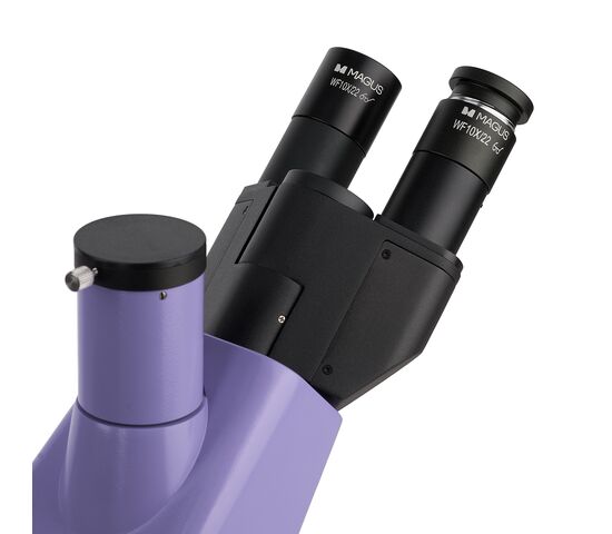 Микроскоп биологический инвертированный цифровой MAGUS Bio VD300, фото , изображение 9