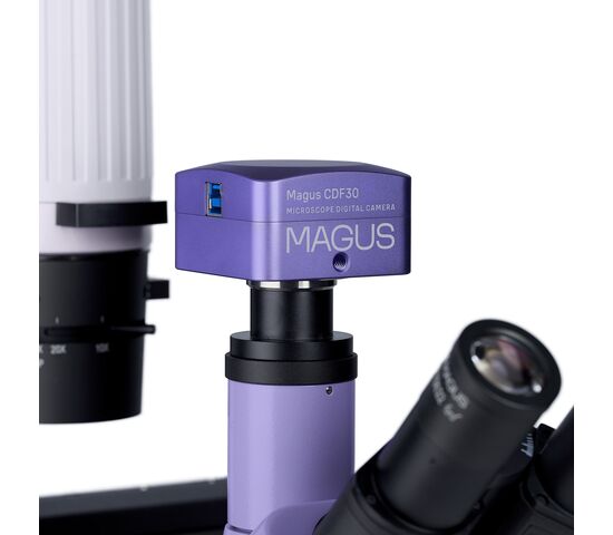 Микроскоп биологический инвертированный цифровой MAGUS Bio VD300, фото , изображение 15