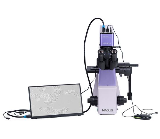 Микроскоп биологический инвертированный цифровой MAGUS Bio VD300 LCD, фото , изображение 5