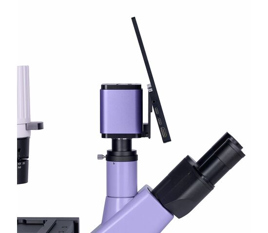 Микроскоп биологический инвертированный цифровой MAGUS Bio VD300 LCD, фото , изображение 13