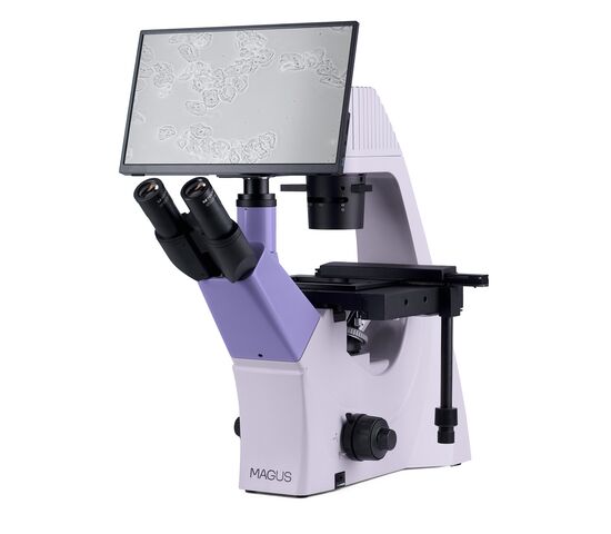 Микроскоп биологический инвертированный цифровой MAGUS Bio VD300 LCD, фото , изображение 2