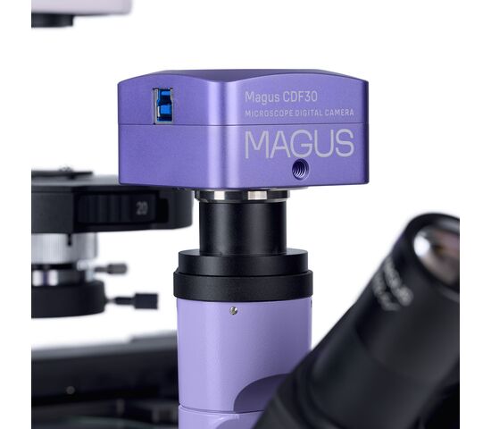 Микроскоп биологический инвертированный цифровой MAGUS Bio VD350, фото , изображение 22