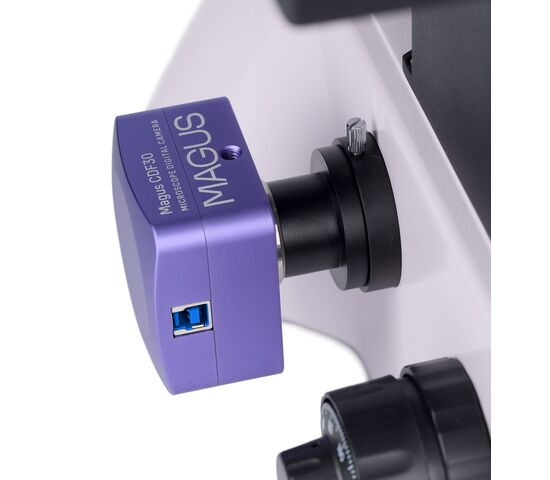 Микроскоп биологический инвертированный цифровой MAGUS Bio VD350, фото , изображение 23