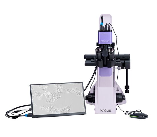 Микроскоп биологический инвертированный цифровой MAGUS Bio VD350 LCD, фото , изображение 5