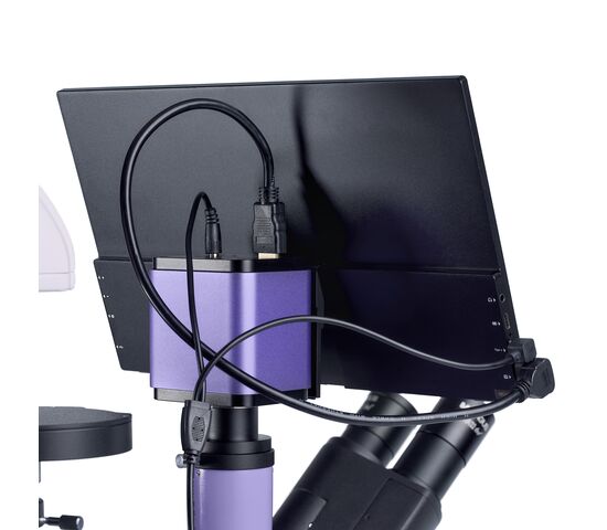 Микроскоп биологический инвертированный цифровой MAGUS Bio VD350 LCD, фото , изображение 20