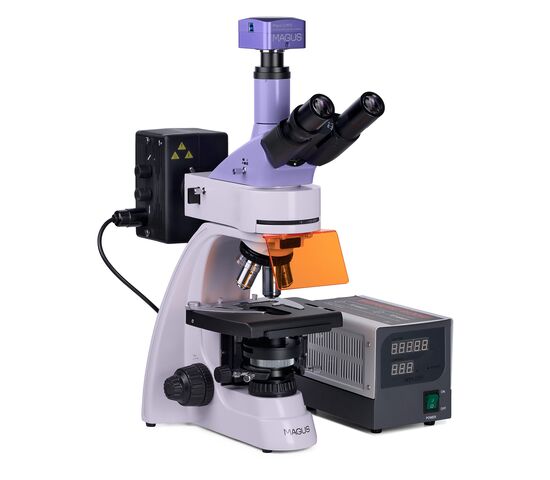Микроскоп люминесцентный цифровой MAGUS Lum D400, фото , изображение 3