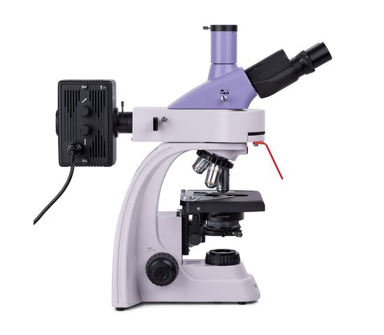 Микроскоп люминесцентный цифровой MAGUS Lum D400, фото , изображение 6