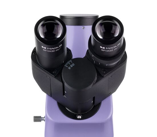 Микроскоп люминесцентный цифровой MAGUS Lum D400, фото , изображение 10