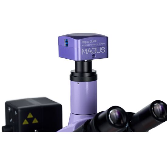 Микроскоп люминесцентный цифровой MAGUS Lum D400, фото , изображение 22