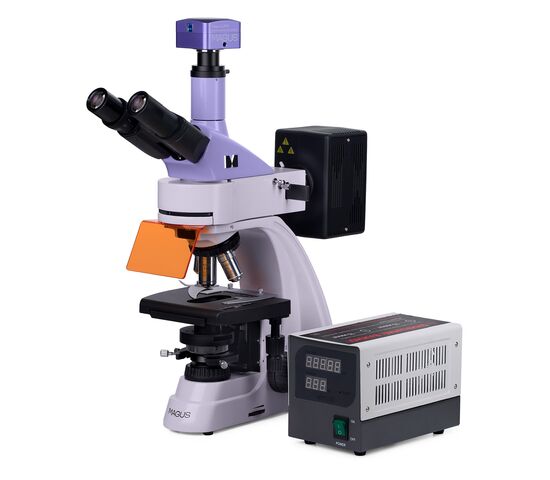 Микроскоп люминесцентный цифровой MAGUS Lum D400, фото , изображение 2