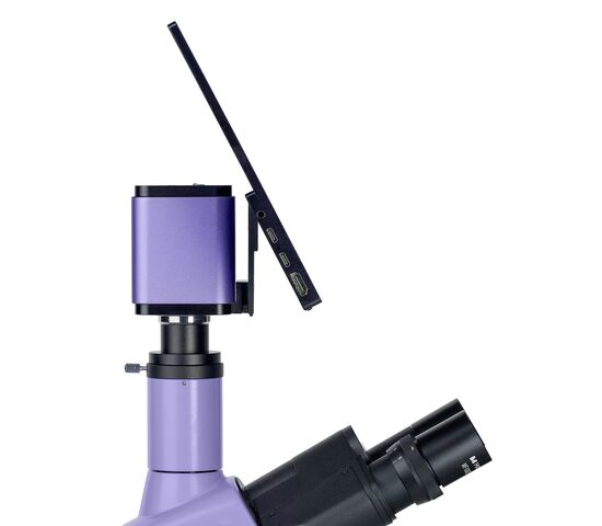 Микроскоп люминесцентный цифровой MAGUS Lum D400 LCD, фото , изображение 20