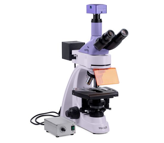 Микроскоп люминесцентный цифровой MAGUS Lum D400L, фото , изображение 3