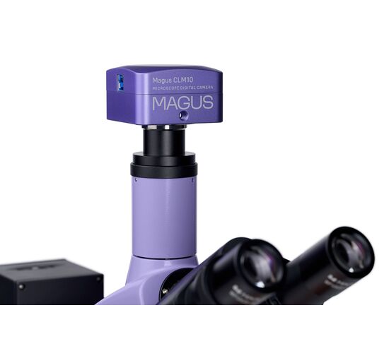 Микроскоп люминесцентный цифровой MAGUS Lum D400L, фото , изображение 20