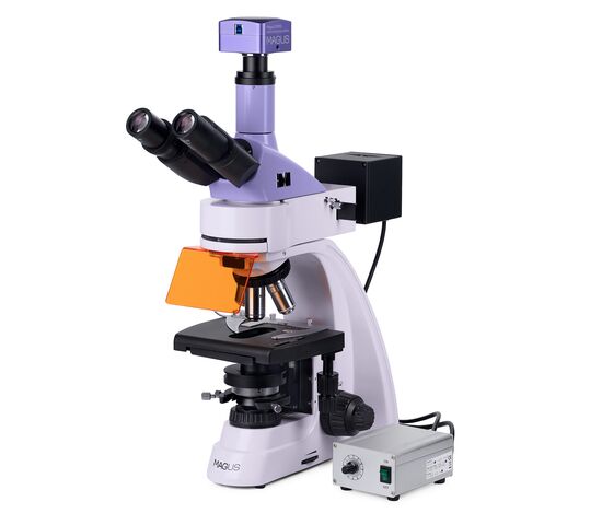 Микроскоп люминесцентный цифровой MAGUS Lum D400L, фото , изображение 2