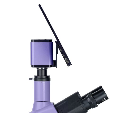 Микроскоп люминесцентный цифровой MAGUS Lum D400L LCD, фото , изображение 19