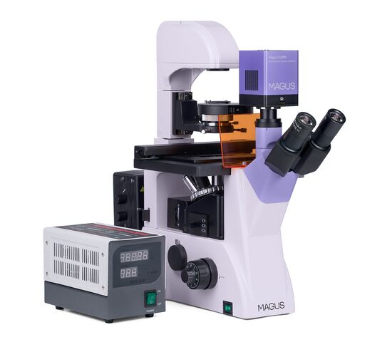 Микроскоп люминесцентный инвертированный цифровой MAGUS Lum VD500, фото , изображение 3