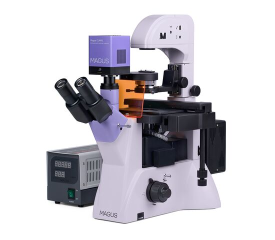 Микроскоп люминесцентный инвертированный цифровой MAGUS Lum VD500, фото , изображение 2