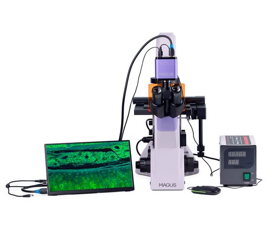 Микроскоп люминесцентный инвертированный цифровой MAGUS Lum VD500 LCD, фото , изображение 5