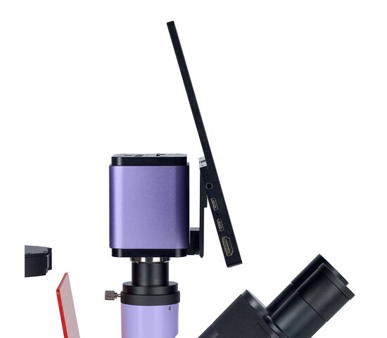 Микроскоп люминесцентный инвертированный цифровой MAGUS Lum VD500 LCD, фото , изображение 19